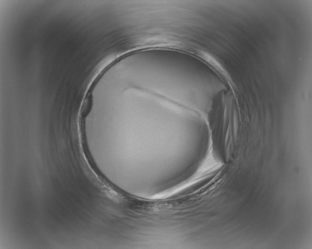 X0000054371291200508191836