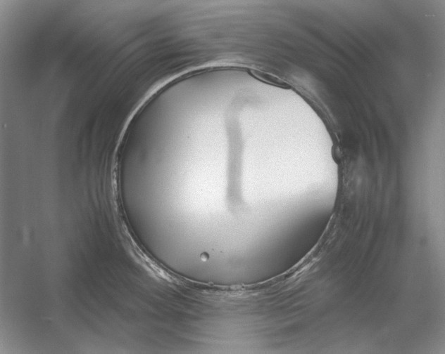 X0000054371292200508191836