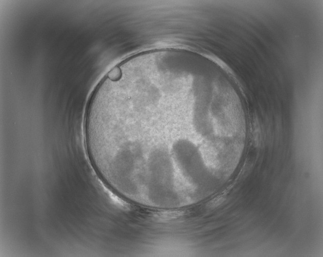 X0000054371294200508191836