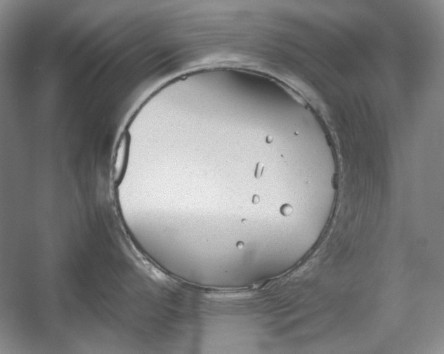 X0000054371296200508191836