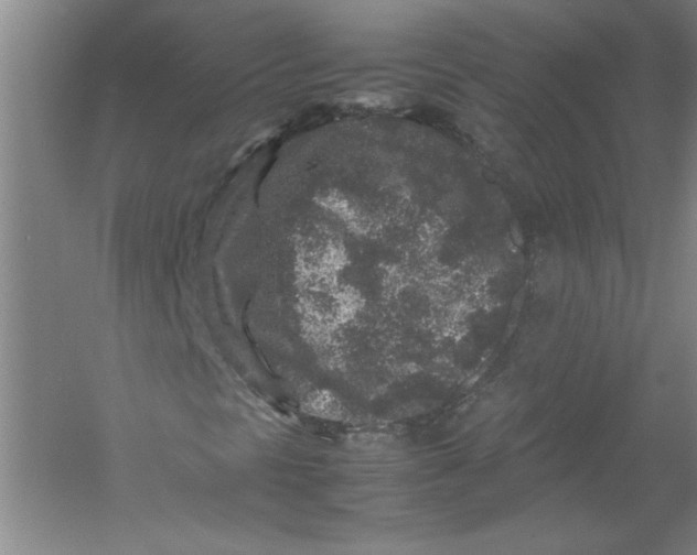 X0000054371297200508191836