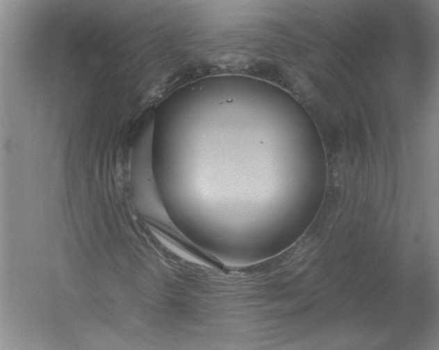 X0000054371298200508191836