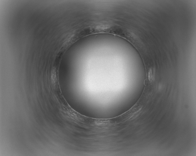 X0000054371299200508191836