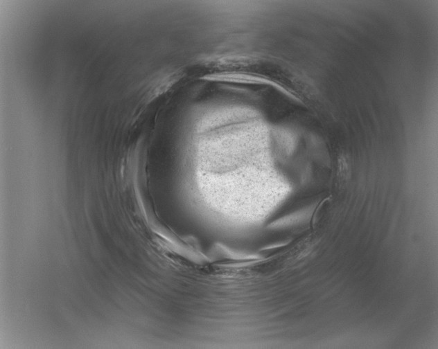 X0000054371300200508191836