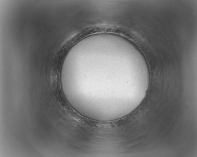 X0000054371302200508191836