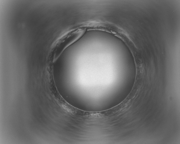 X0000054371304200508191836