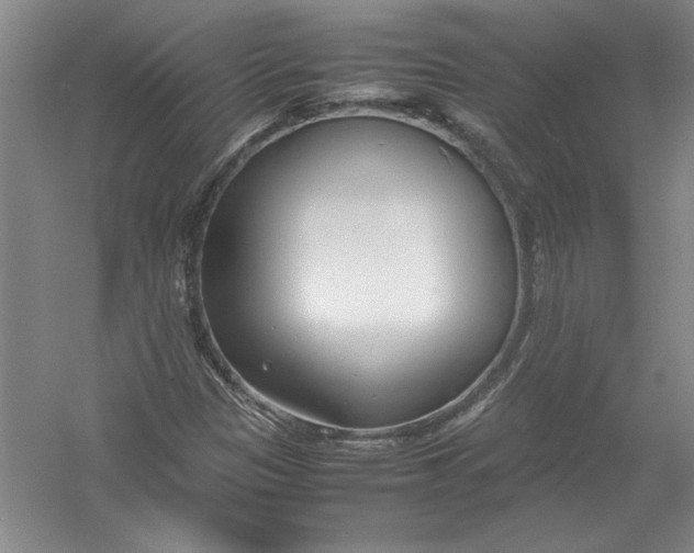 X0000054371305200508191836