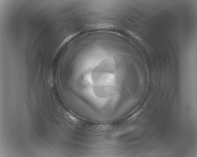 X0000054371306200508191836