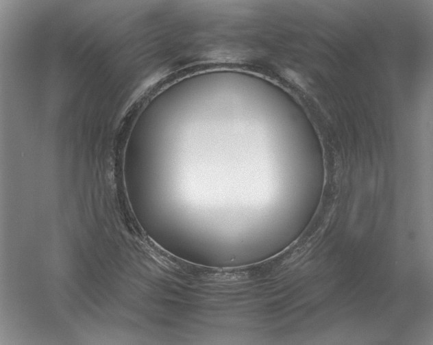 X0000054371307200508191836