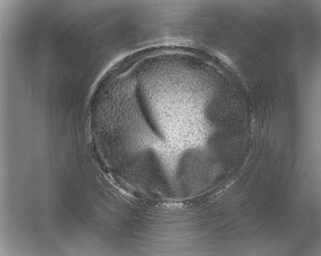 X0000054371310200508191836