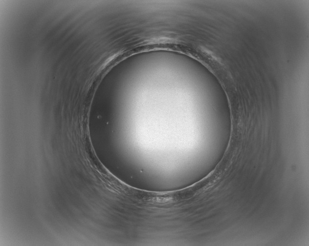 X0000054371313200508191836