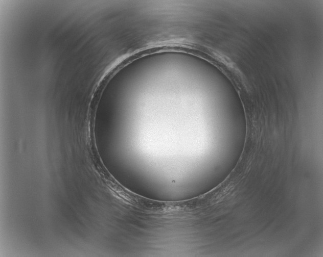 X0000054371316200508191836