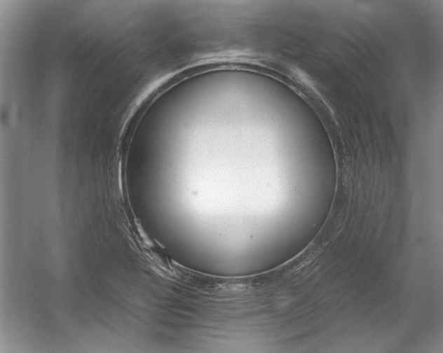 X0000054371320200508191836