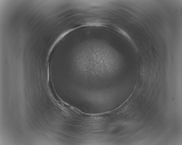 X0000054371323200508191836