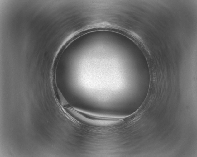 X0000054371326200508191836