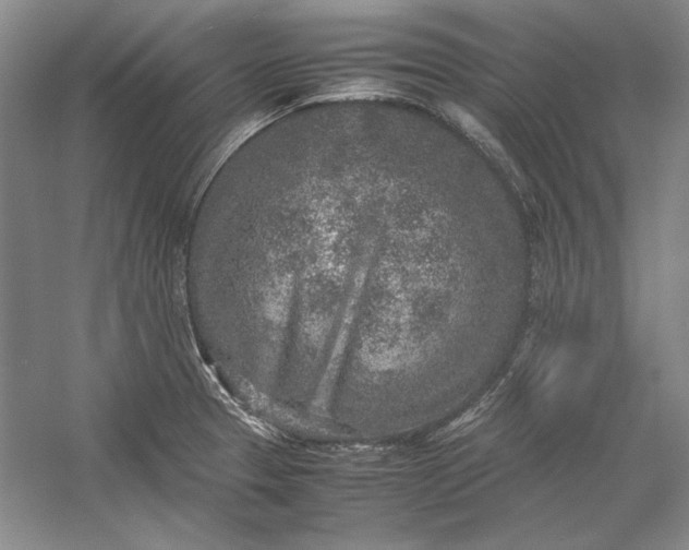 X0000054371329200508191836