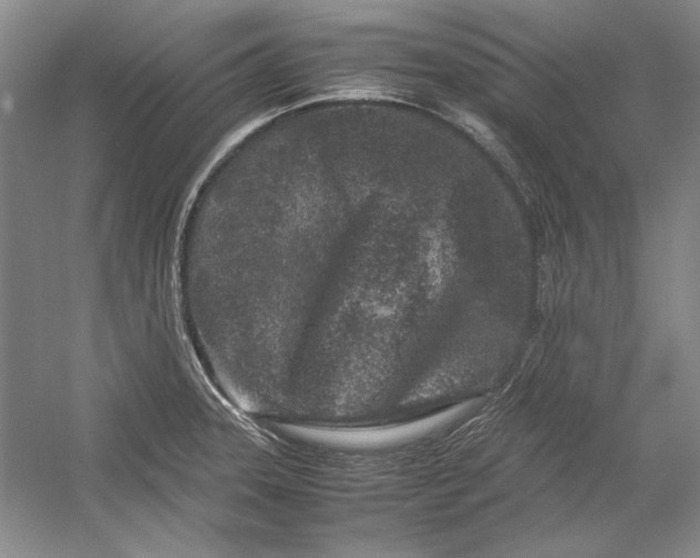 X0000054371331200508191836