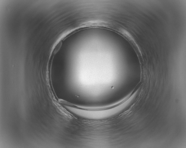 X0000054371336200508191836