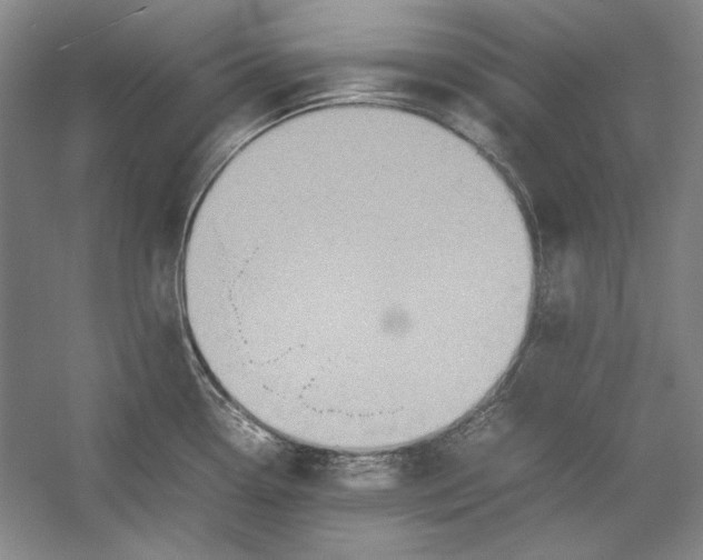 X0000054371338200508191836