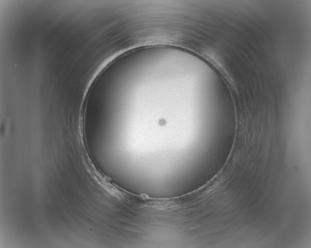 X0000054371340200508191836