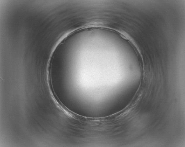 X0000054371341200508191836