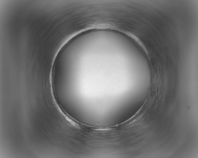 X0000054371343200508191836