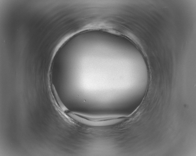 X0000054371344200508191836