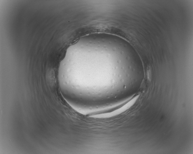 X0000054371347200508191836