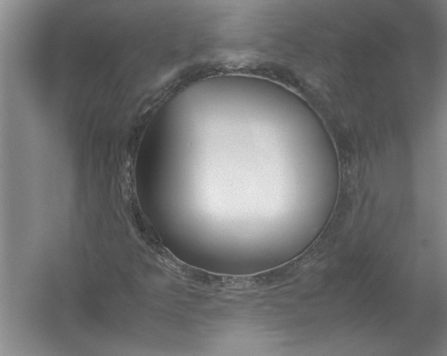 X0000054371349200508191835