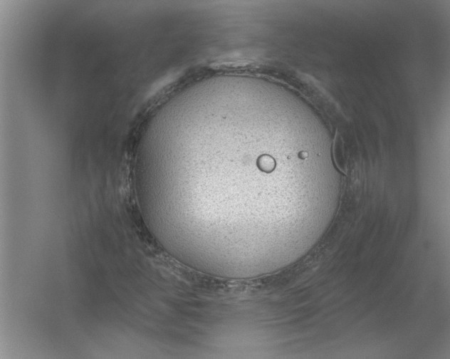 X0000054371350200508191835