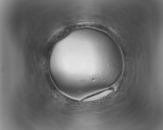 X0000054371351200508191835