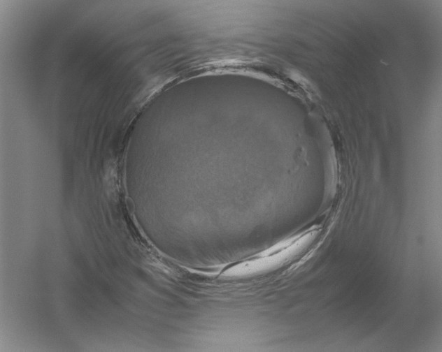 X0000054371353200508191835