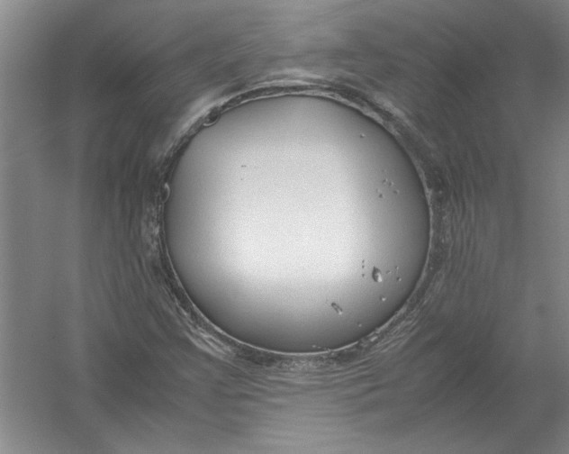 X0000054371355200508191835