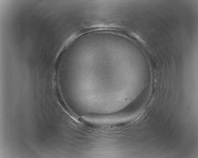 X0000054371357200508191835