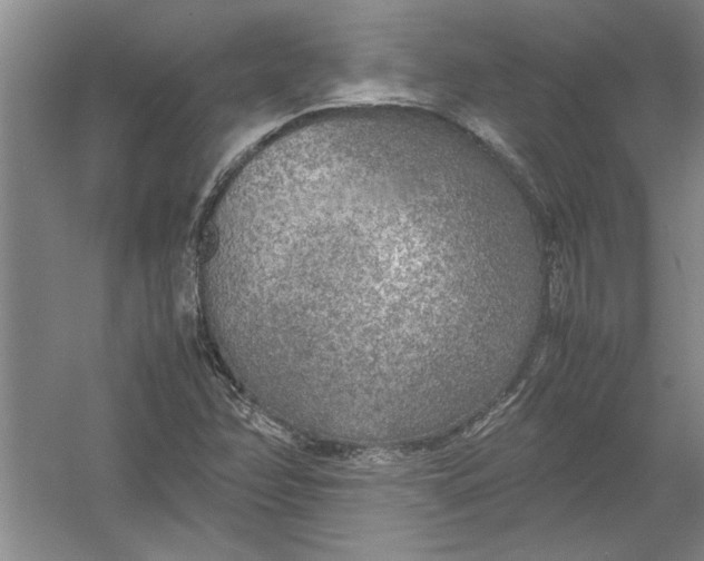 X0000054371358200508191835