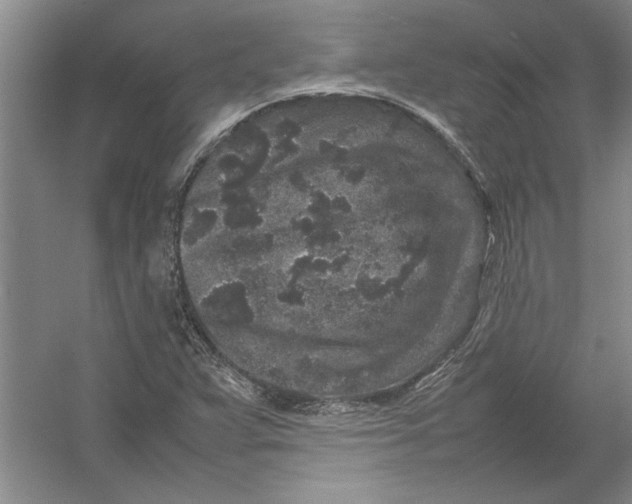 X0000054371359200508191835