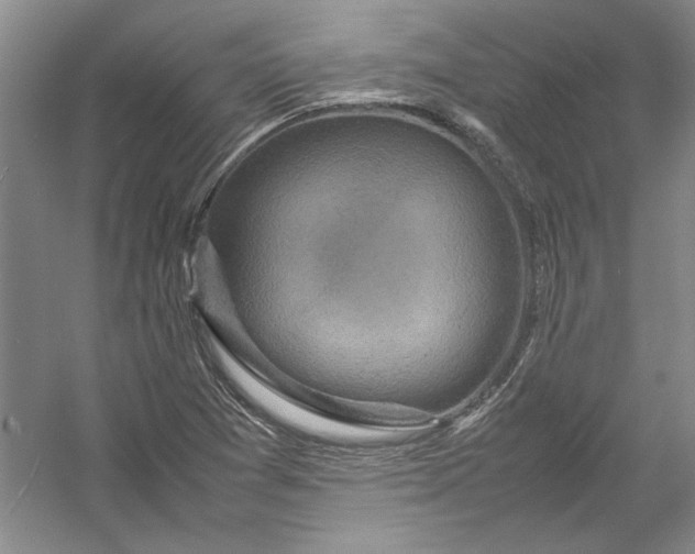 X0000054371361200508191835