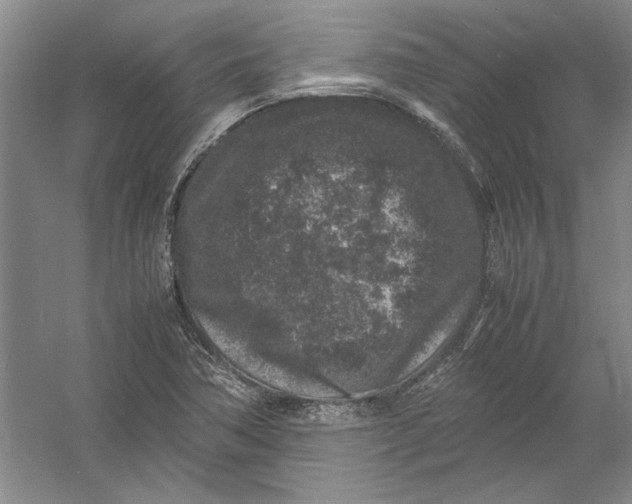 X0000054371362200508191835