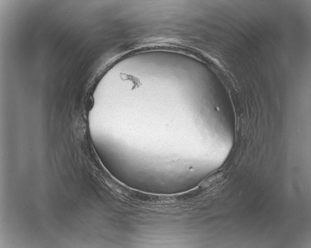 X0000054371363200508191835