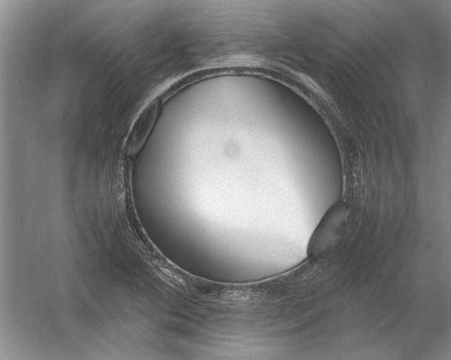 X0000054371364200508191835