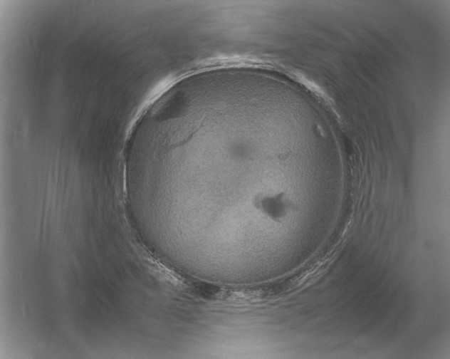 X0000054371365200508191835