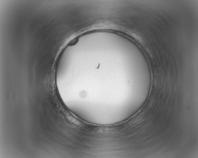 X0000054371366200508191835