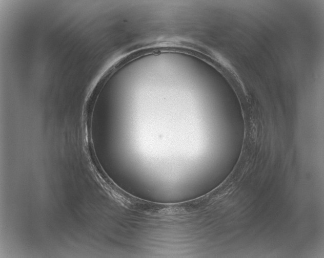 X0000054371368200508191835