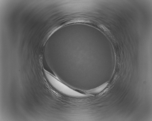 X0000054371369200508191835