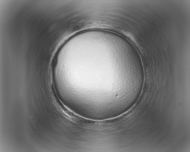 X0000054371371200508191835