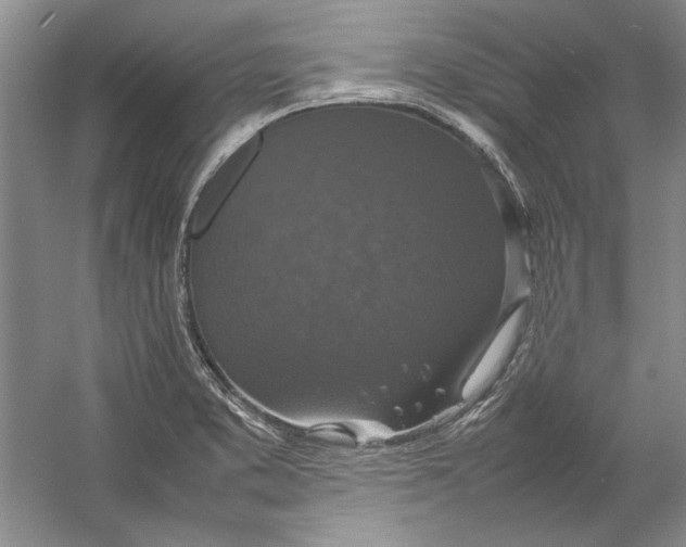 X0000054371373200508191835