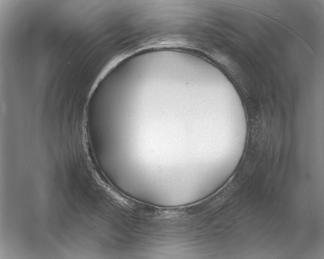 X0000054371374200508191835