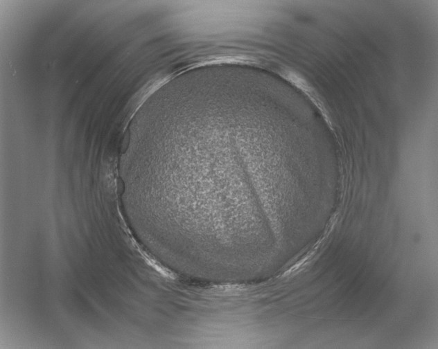 X0000054371377200508191835