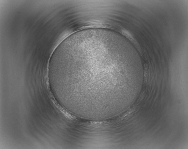 X0000054371378200508191835