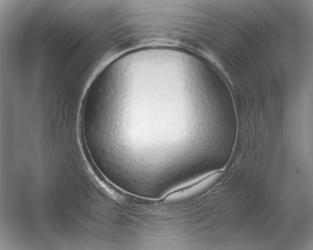 X0000054371379200508191835